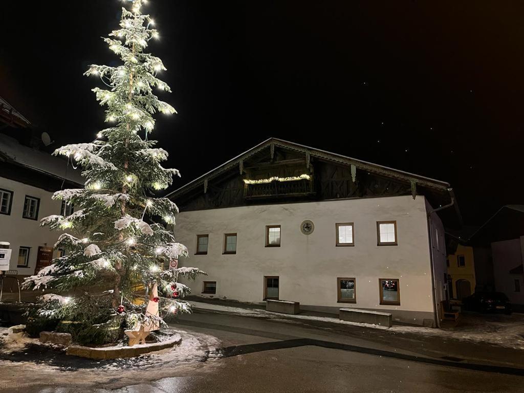 Stuwip Alps Appartement Sonnenstein Fulpmes Bagian luar foto